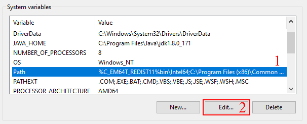 edit system variabels path