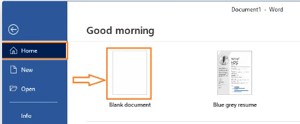 Blank Document in MS Word