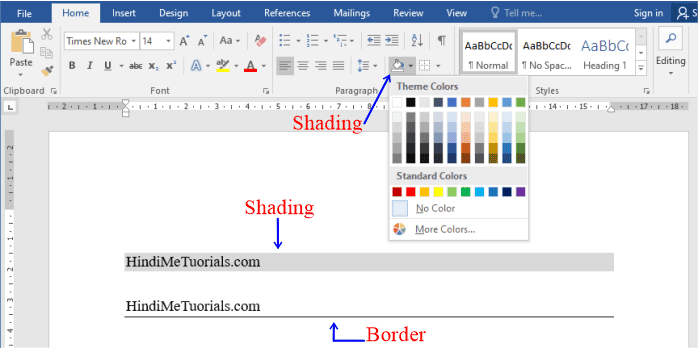 Shading, Border in MS Word in Hindi